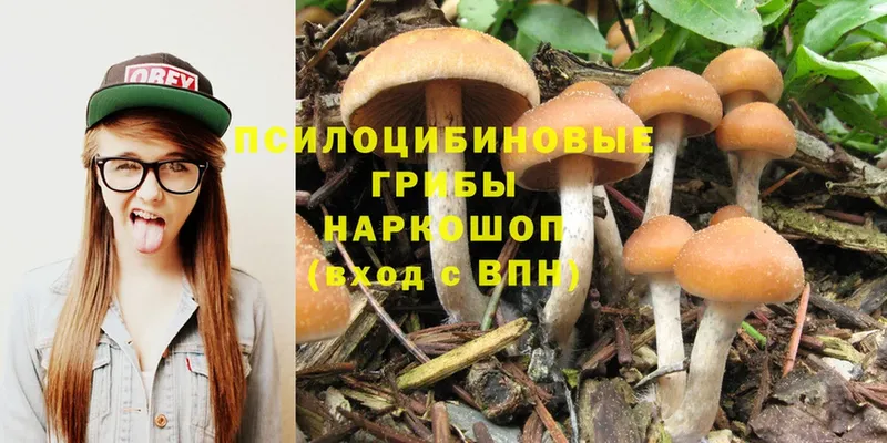 Псилоцибиновые грибы Psilocybe  Сатка 